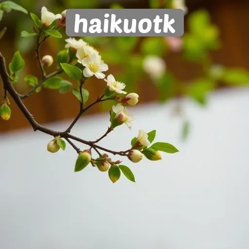 Peran Haikuotk dalam Mengasah Kreativitas Penggunanya